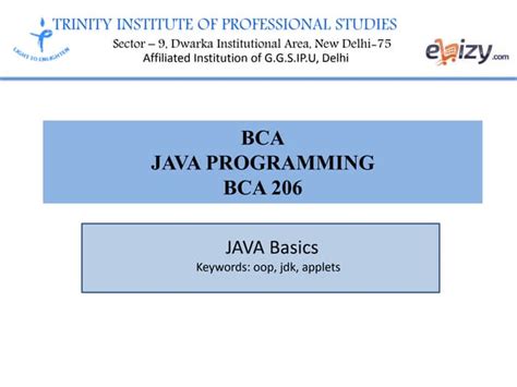Java Programming Tutorial 的图像结果