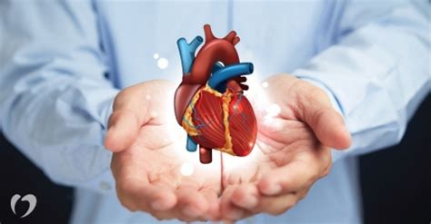 Atrial Fibrillation Treatment