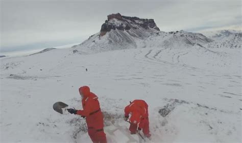 Scientists On A Mission In Antarctica Find Dinosaur Fossils As Old As ...