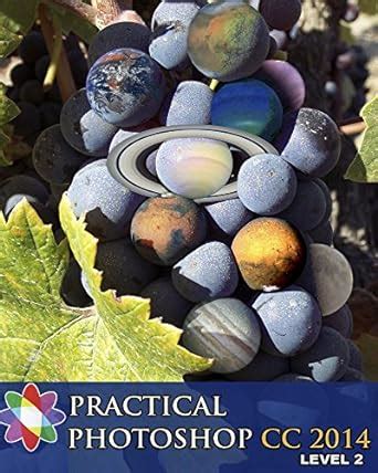 Practical Photoshop CC 2014 Level 2 eBook : Laird, Donald, Heiman ...
