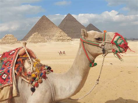Image result for Cairo Pyramids