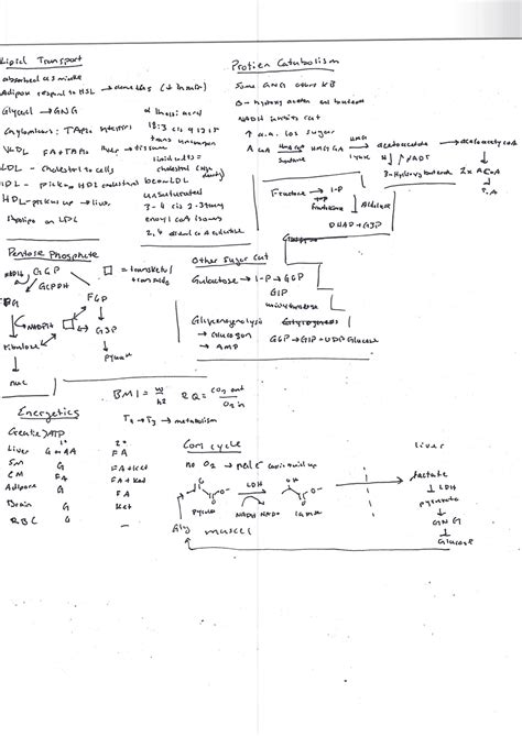 MCAT Hard to Memorize Guide : r/Mcat