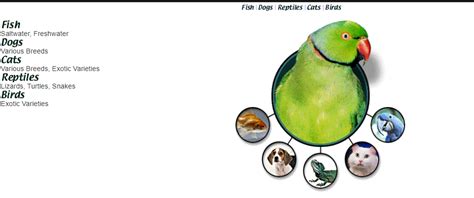 Image result for Load Runner Correlation