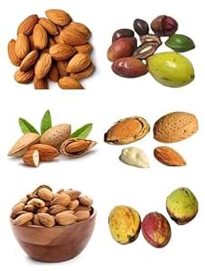 RK and JA Plant* Indian Sweet & Tasty Almond/Kath Badam Fruit Live ...