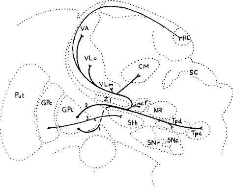 Image result for ANSA Pre-processor Tutorial