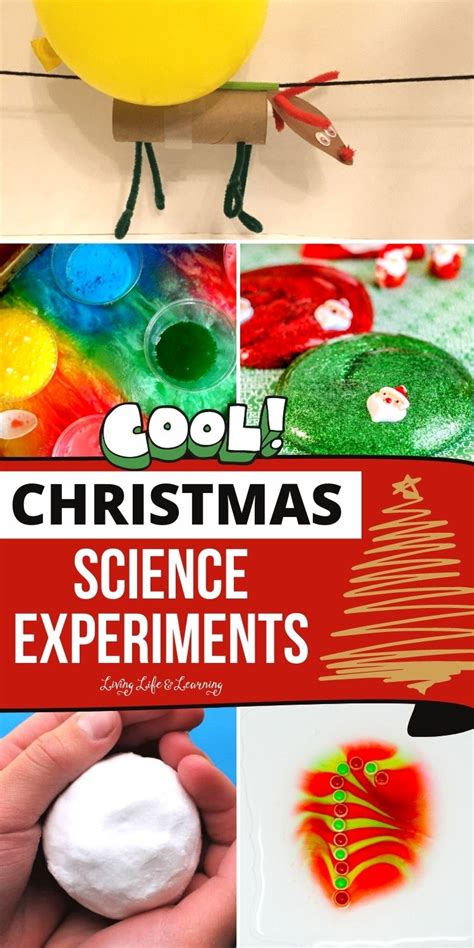 Cool Easy Science Experiments 的图像结果