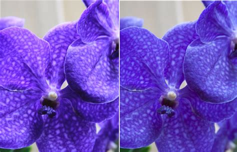 Canon DPP4 Guide 的图像结果