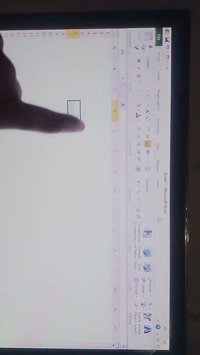 Computer MS Excel 的图像结果