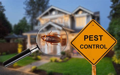 Choosing Pest Control Method 的图像结果