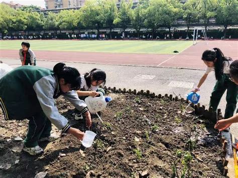 聚焦特色劳动课程⑤｜莞华小学：构建“四聘五进”劳育实施路径_教育_实践_建设