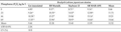 Influence of different types of Strains of Bradyrhizobium japonicum ...