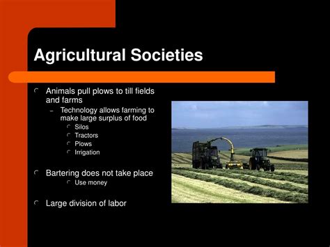 Societies 的图像结果