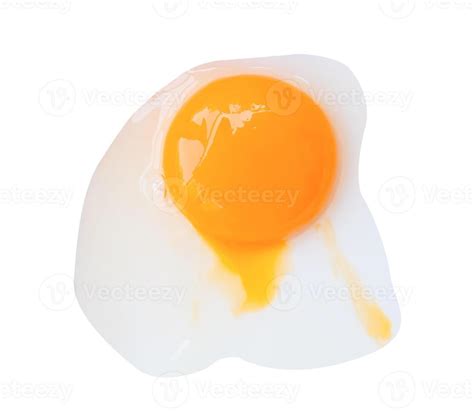Image result for Egg without Shell Chicks