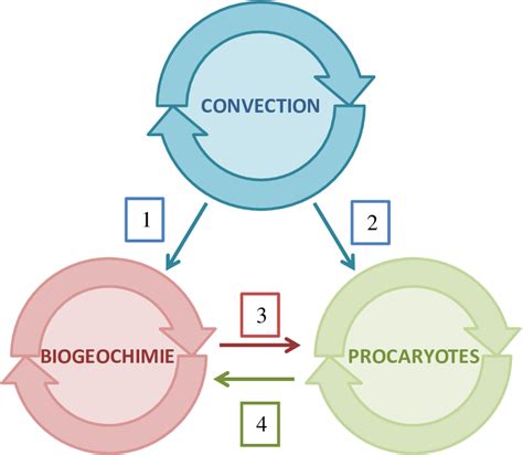 Schema Conceptuel 的图像结果