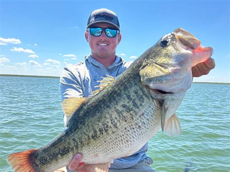 O.H. Ivie Lake Fishing Reports & Guides in Texas - FishTips | FishTips