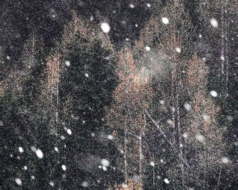 Image result for Snow Falling Animated Graphics