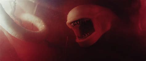 Image result for Alien vs Predator Birth Woman