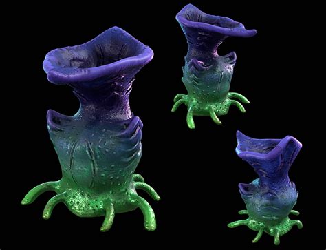 Image result for Alien Isolation Egg