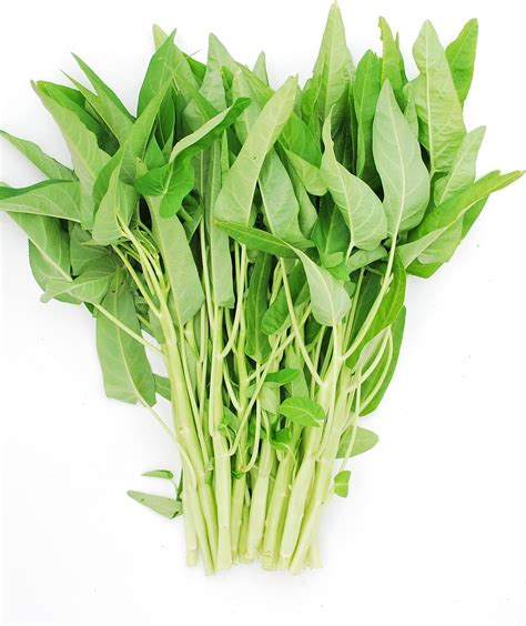 +350 Ong Choy Seed for Planting Indoor and Outdoor Home Garden | Water ...