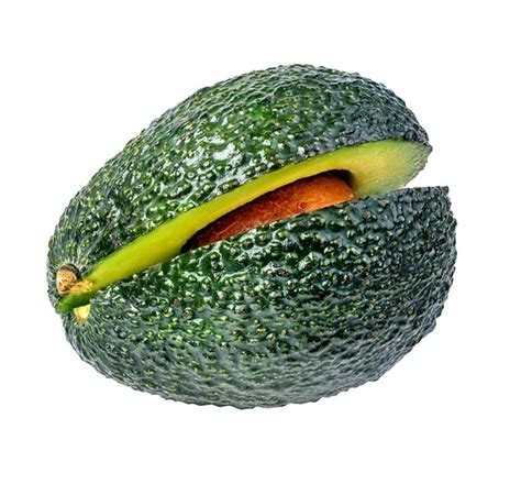 Image result for Simple Avacodo