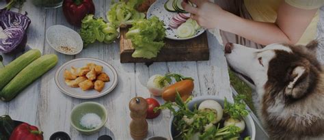 NUTRO™ Wet & Dry Dog Food For Senior Dogs | NUTRO™