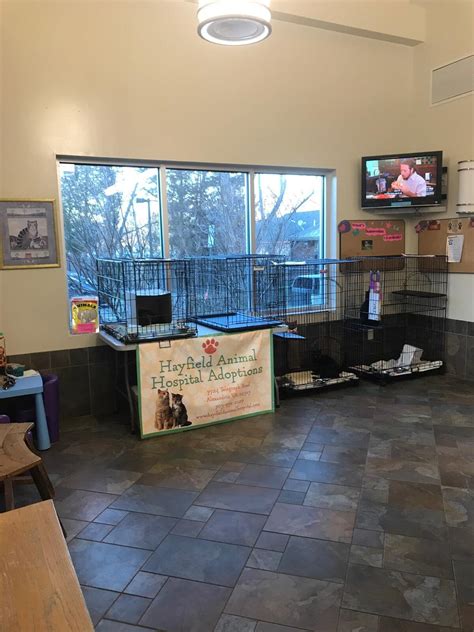 HAYFIELD ANIMAL HOSPITAL - Alexandria VA - Hours, Directions, Reviews ...