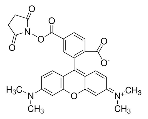 Tetramethylrhodamine methyl ester perchlorate = 95 115532-50-8
