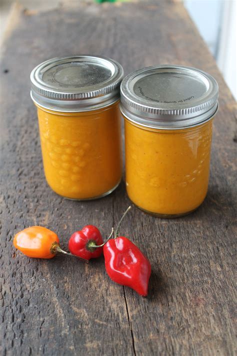 homemade habanero hot sauceDownload it from homemade habanero hot sauce ...