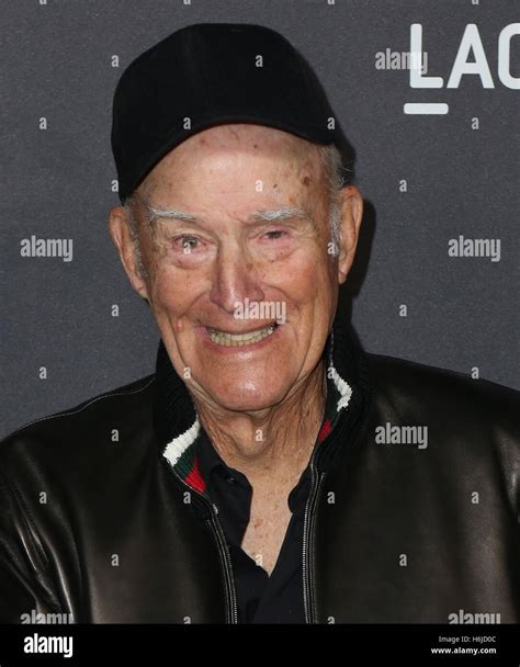 Robert irwin art hi-res stock photography and images - Alamy