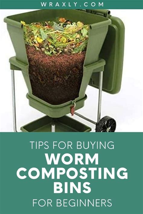 Image result for Worm Composting Tips