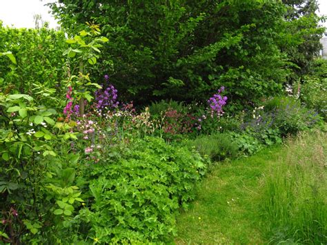 My Cottage Garden 的图像结果