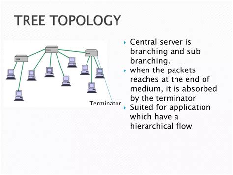 Computer Class 12 Networking 的图像结果