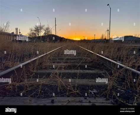 Abandoned railroad tracks with overgrown grass at sunset Stock Photo ...