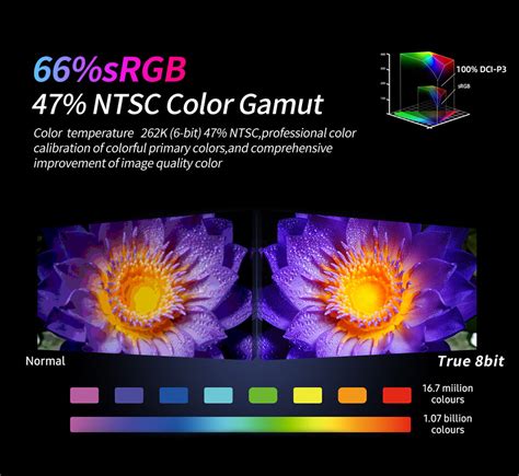 Image result for Computer Monitor Screen