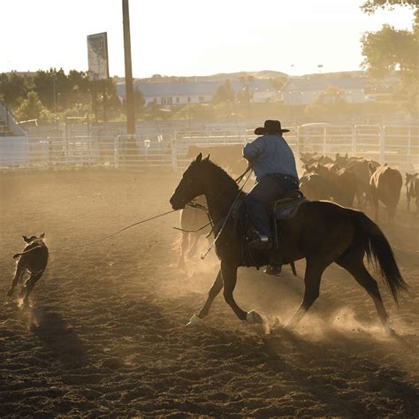 Wyoming State Fair Proudly Showcases the Best of Wyoming - Wyoming ...
