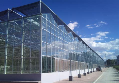玻璃钢花盆-玻璃钢花盆厂家-玻璃钢花槽-泉州天驰玻璃钢有限公司