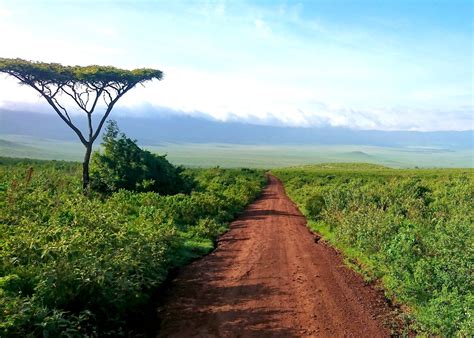 BornWild Travel Adventures | Is Tanzania Safe? Read Our Essential 2025/ ...