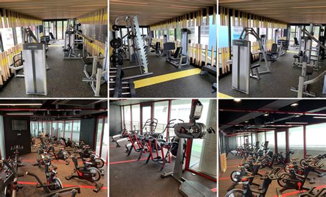 School Gym 的图像结果