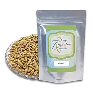 Topscorner Barley (Seeds) (With Husk) - Jau - Yava - Java - Jawa ...