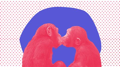 Is Monogamy "Natural" For Human Beings? • Bebadass.in