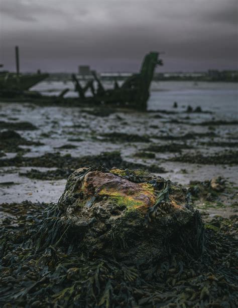 Tides In Duxbury MA: Discover Secrets To Perfect Coastal Timing ...