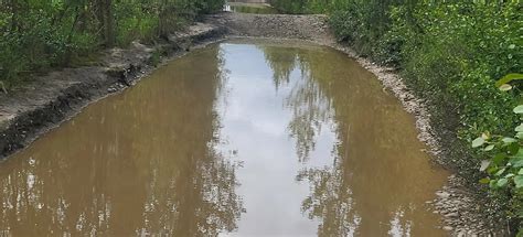 Stampede Trail to Sushana River, Alaska - 26 Reviews, Map | AllTrails