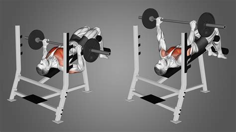 Decline Bench Press