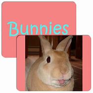 Image result for Spring Trees and Bunnies