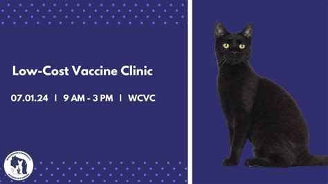 Low-Cost Vaccine Clinic, 4475 Robertson Rd, Madison, WI, United States ...