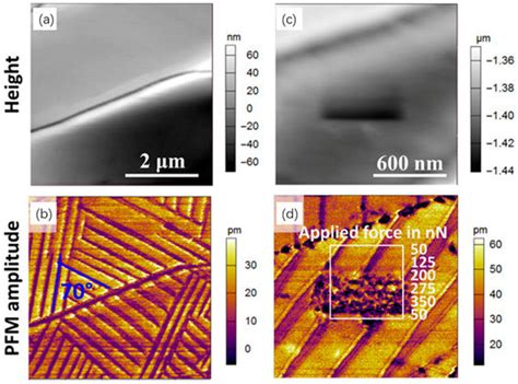 Crystals | Special Issue : Metal Halide Perovskite Crystals: Growth ...
