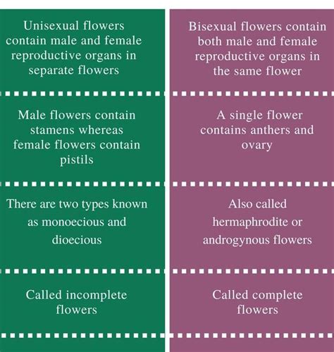 difference Between unisexual and bisexual flowers - Brainly.in