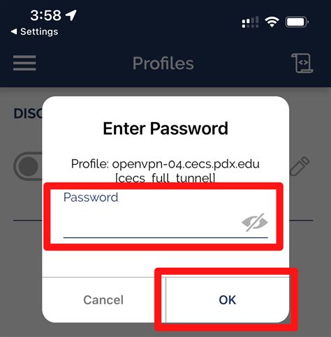 Image result for OpenVPN Setup iPhone