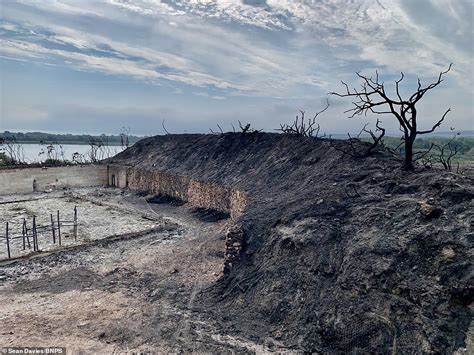 Scorched nature reserve left looking like a 'warzone' after devastating ...
