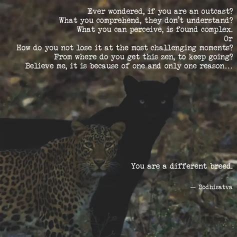 Ever wondered, if you are... | Quotes & Writings by cola reality ...